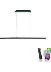 LED Pendelleuchte "Q-ARIAN", schwarz (anthrazit), 3, 1 Stk., NEUHAUS Q SMART HOME LIGHTS, Leuchten, LED Pendelleuchte