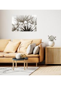 Wandsticker QUEENCE "Blume", beige, B:150cm H:90cm T:0,1cm, Folie, Wandtattoos, Wandsticker, Selbstklebend, kinderleichte Anbringung