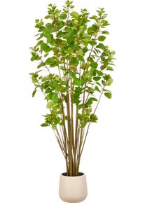 Kunstbaum Creativ green "Cotinus coggyria", gr&uuml;n, H:180cm, Obermaterial: 50% Kunststoff, 50% Polyester, Kunstpflanzen, Kunstbaum, in beeindruckender Gr&ouml;&szlig;e