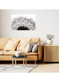 Wandsticker queence "Pusteblume", wei&szlig;, B:90cm H:60cm T:0,1cm, Folie, Wandtattoos, Wandsticker, Selbstklebend, kinderleichte Anbringung