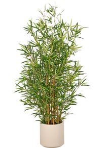 Kunstbambus Creativ green "Bambus fargesia", gr&uuml;n, H:130cm, Obermaterial: 75% Polyester, 25% Kunststoff, Kunstpflanzen, Kunstbambus, mit naturgetreuem Blattwerk