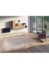 Teppich WK Wohnen "BORDER", braun (cappuccino), B:200cm H:8mm L:290cm, Polyacryl, Viskose, Teppiche, Teppich, hochwertiger Viskoseanteil, samtweiche Oberfl&auml;che mit 3 D Effekt