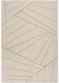 Teppich Astra "Maglie 241", beige (creme), B:200cm H:13mm L:290cm, Kunstfaser, Teppiche, Teppich, Kurzflor, modernes Design, Wohnzimmer, Schlafzimmer