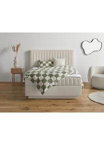 Boxbett HOMSY BY ANA JOHNSON "Moonio inkl. Bettkasten", beige (creme), B:167cm L:214cm, Komplettbetten, Boxbett, erh&auml;ltlich in verschiedenen Breiten und H&auml;rtegraden
