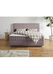 Boxbett HOMSY BY ANA JOHNSON "Moonio inkl. Bettkasten", rosa (grau), B:187cm L:214cm, Komplettbetten, Boxbett, erh&auml;ltlich in verschiedenen Breiten und H&auml;rtegraden