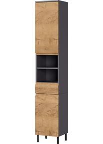 Hochschrank Germania "Scantic", grau (graphit, grandson, eiche, nachbildung), B:34cm H:190cm T:34cm, Holzwerkstoff, MDF, Schr&auml;nke, Hochschrank, mit griffloser Optik