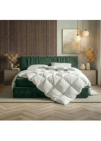 Federbettdecke Ribeco "Laram, Bettdecken f&uuml;r Sommer oder Winter, Made in Germany", wei&szlig;, B:200cm L:200cm, Bezug: 100% Baumwolle. F&uuml;llung: 90% Federn, 10% Daunen, Bettdecken, Federbettdecke, Super Preis-Leistung, Bettdecke 135x200 cm oder 155x220 cm, Decke