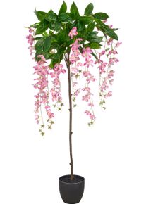 Kunstbaum Creativ green "Clematis", helllila, H:160cm, Obermaterial: 60% Kunststoff, 40% Polyester, Kunstpflanzen, Kunstbaum, mit traumhaft sch&ouml;nen Bl&uuml;ten