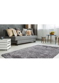 Hochflor-Teppich BRUNO BANANI "Alga", grau (grau, wei&szlig;), B:240cm H:40mm L:330cm, Kunstfaser, Teppiche, Hochflor-Teppich, Uni, Shaggy, Langflor, besonders weich und kuschelig, Wohnzimmer