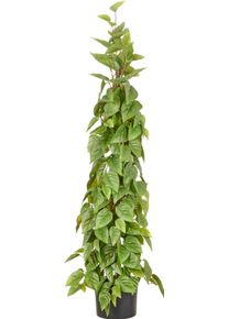 Kunstbaum Creativ green "Philodendron scandens", gr&uuml;n, H:125cm, Obermaterial: 100% Kunststoff, Kunstpflanzen, Kunstbaum, in Pyramidenform