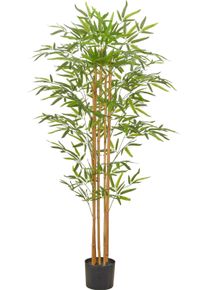 Kunstbambus Creativ green "Bambus", gr&uuml;n, H:155cm, Obermaterial: 100% Kunststoff, Kunstpflanzen, Kunstbambus, mit sch&ouml;nem Blattwerk