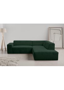 Ecksofa WERK2 "Zeus-M 251 cm breit, 262 cm tief, tolles Sofa, L-Form", moosgr&uuml;n, B:251cm H:70cm T:262cm, 90% Polyester, 10% Nylon, Sofas, Ecksofa, Curvy Trend Garnitur, urbane Optik, komfortable Wellenunterfederung