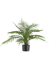 Kunstpalme Creativ green "Arecapalme", gr&uuml;n, H:70cm, Kunststoff, Kunstpflanzen, Kunstpalme, mit 15 Wedeln