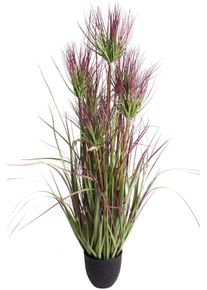 Kunstgras BOTANIC-HAUS "Zyperngrasbusch", bunt (gr&uuml;n, burgund), B:55cm H:95cm T:55cm &Oslash;:55cm, Kunststoff, Kunstpflanzen, Kunstgras