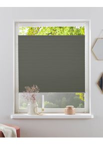 Plissee OTTO HOME "CASUL, Wabenplisse, ohne Bohren, verdunkelnd" Gr. 5, grau (dunkelgrau), B:70cm H:130cm, Obermaterial: 100% Polyester, Plissees, Plissee, Wabenplissee, Klemmfix, Verdunkelung - NEUHEIT F&uuml;r Fenster & T&uuml;r