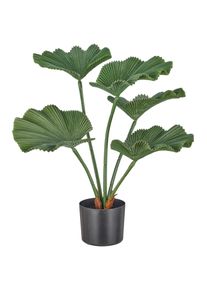 Kunstpalme Creativ green "Strahlenpalme", gr&uuml;n, H:65cm, Obermaterial: 100% Kunststoff, Kunstpflanzen, Kunstpalme, im modernen Design