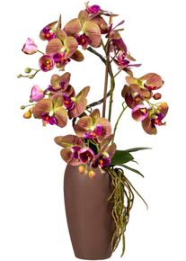 Kunstorchidee Creativ green "Phalaenopsisarrangement in Keramikvase", bunt (gr&uuml;n,lila), H:70cm, Obermaterial: 100% Polyethylen, Kunstpflanzen, Kunstorchidee