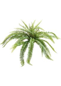 K&uuml;nstliche Zimmerpflanze BOTANIC-HAUS "Farnbusch", gr&uuml;n, B:85cm H:38cm T:85cm &Oslash;:85cm, Kunststoff, Kunstpflanzen, K&uuml;nstliche Zimmerpflanze