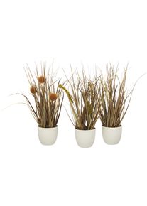 Kunstgras Creativ green "Grasbusch D&uuml;ne", beige, H:26cm &Oslash;:13cm, Kunststoff, Kunstpflanzen, Kunstgras, als Set aus drei Ausf&uuml;hrungen