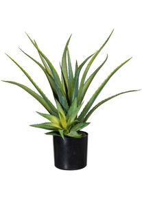 K&uuml;nstliche Zimmerpflanze Creativ green "Deko-Sukkulente Aloe", gr&uuml;n, B:16cm H:48cm L:16cm, Obermaterial: 100% Polyethylen, Kunstpflanzen, K&uuml;nstliche Zimmerpflanze