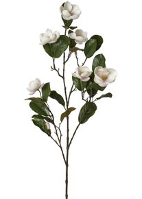 Kunstblume Creativ green "Magnolienzweig", rosa, H:120cm, Kunststoff, Kunstpflanzen, Kunstblume, mit zauberhaften Bl&uuml;ten