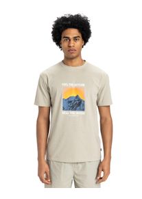 T-Shirt Quiksilver "Feel The Outside", Herren, Gr. S, grau (abbey stone), Obermaterial: 60% Baumwolle, 40% Polyester., Shirts T-Shirt