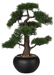 Kunstpflanze Creativ green "Bonsai", gr&uuml;n, B:15cm H:37cm, Kunstpflanzen, Kunstpflanze