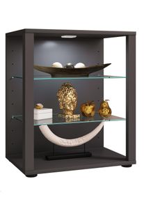 Standvitrine Vcm "Holz Glas Stand Vitrine Sammelvitrine Glasol S", schwarz (anthrazit), B:52cm T:35cm, Obermaterial: 100% Holz Wood., Schr&auml;nke, Standvitrine
