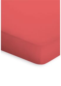 Spannbettlaken Bassetti "TOPPER", rot (coralle), 1 Stk., Jersey, 180-200x200-220, Jersey, Obermaterial: 95% Baumwolle CO. 5% Elasthan EL., Bettlaken, Spannbettlaken, aus weicher Baumwollmischung