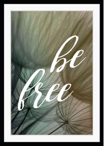 Bild queence "be free", bunt (farbe rahmen: schwarz, farbe bild(er): gelb, gr&uuml;n, blau, pink, t&uuml;rkis), B:30cm H:40cm, Acrylglas, Holz, Papier, Bilder, Bild, HD Premium Poster-Druck inkl. Holzrahmen