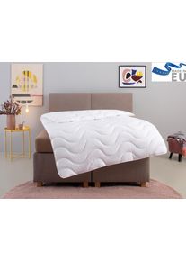 Microfaserbettdecke OTTO HOME "Mailo Bettdecke aus 100% Polyester 135x200 cm, 155x220 cm", wei&szlig;, B:155cm L:220cm, Obermaterial: 100% Polyester. F&uuml;llung: 100% Polyester, Bettdecken, Microfaserbettdecke, Sommer, Winter, Decke, kuschelweicher Microfaser-Feinbatist Bezug