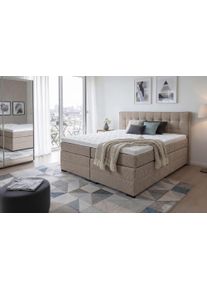 Boxspringbett Home Affaire "K&ouml;ln, Doppelbett, Polsterbett, Federkernbett, Komforbett, 160, 180 cm", beige (braun), B:187cm L:219cm, 100% PES, Komplettbetten, Boxspringbett, inkl. Topper, zwei Bettk&auml;sten, Taschen-Federkernmatratze, H&auml;rtegrad 3