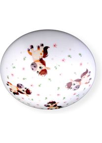 NIERMANN Deckenleuchte "Kinderlampe mit Motiv "Pony Paula", Kinderzimmer", bunt (wei&szlig;, bunt), 1, &Oslash; 35cm H: 9cm, 1 Stk., Leuchten, bruchsichere Deckenschale, Deckenleuchte