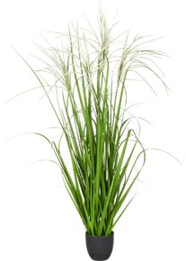 Kunstgras CREATIV GREEN "Grasbusch Miscanthus graziella", gr&uuml;n, H:120cm, Obermaterial: 100% Kunststoff, Kunstpflanzen, Kunstgras, mit dekorativen Bl&uuml;ten