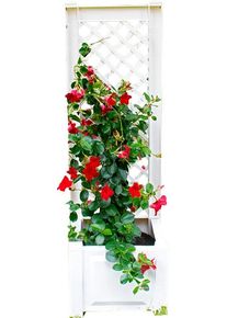 Spalier KHW, wei&szlig;, B:43cm H:140cm T:43cm, Kunststoff, Rankhilfen, Spalier, 2 tlg. mit Pflanzkasten, BxTxH: 43x43x140 cm