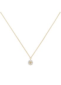 Kette mit Anh&auml;nger Firetti "Schmuck Geschenk Silber 925 Ankerkette Anh&auml;nger Blume Bl&uuml;te", gold (gelbgoldfarben, kristallwei&szlig;), Halsketten, Damen, Silber 925 (Sterlingsilber), L: 45 B: 1mm, Kette mit Anh&auml;nger, mit Zirkonia (synth.), B:1mm