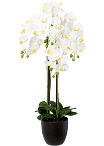 Kunstorchidee Creativ green "Phalaenopsis im Resintopf", wei&szlig;, H:99cm, Obermaterial: 100% Polyethylen, Kunstpflanzen, Kunstorchidee, mit Real-Touch-Bl&uuml;ten