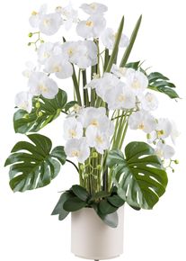 Kunstorchidee Creativ green "Orchidee Phalaenopsis", beige (creme), H:110cm, Kunststoff, Kunstpflanzen, Kunstorchidee, mit Gr&auml;sern und Splitphilo-Bl&auml;ttern
