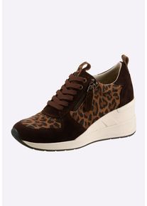 Schn&uuml;rschuh Heine "Sneaker Sneaker", Damen, Gr. 42, braun (braun, leo), Rindsleder, Modisch, Schuhe Schn&uuml;rschuh