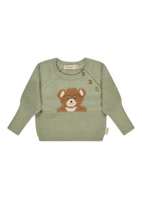 Rundhalsshirt Sterntaler "Strickpullover B&auml;r", Kinder, Gr. 74, gr&uuml;n (pudergr&uuml;n), Shirts Rundhalsshirt