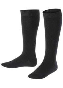 Kniestr&uuml;mpfe FALKE "Comfort Wool", M&auml;dchen, Gr. 35-38, Sockengr&ouml;&szlig;e, schwarz (schwarz (3000)), Obermaterial: 70% Schurwolle WV. 16% Polyamid PA. 12% Baumwolle CO. 2% Elasthan EL., glatt, Socken Kniestr&uuml;mpfe