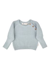 Rundhalsshirt Sterntaler "Strickpullover", Kinder, Gr. 62, blau (silber), Shirts Rundhalsshirt