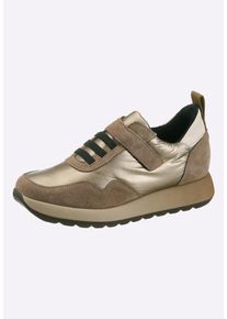 Sneaker Heine "Sneaker Sneaker", Damen, Gr. 42, gold (taupe, metallic), Rindsleder, Modisch, Schuhe Sneaker