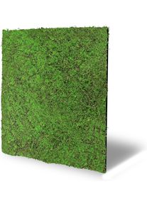 Wandpaneel ARCHITECTS PAPER "A.S. Cr&eacute;ation Modular Wall Wandpaneel Pflanzenoptik Natur", gr&uuml;n (waldgr&uuml;n, gr&uuml;n), B/L: 52cm x 52cm, Kunststoff, Textil, Paneele, Wandpaneel, Natur- und Kunstfasern auf rPET-Filz f&uuml;r botanische 3D-W&auml;nde