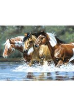 buttinette Malen nach Zahlen mit Acrylfarben "Pferde", 40 x 30 cm