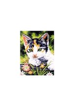 buttinette Malen nach Zahlen mit Acrylfarben "Katze", 23 x 30,5 cm