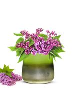 Sendez Blumentopf »Blumenvase Barbara Tischvase Glasvase Dekovase Vase Blumentopf Pflanztopf«