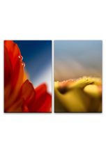 Sinus Art Leinwandbild »2 Bilder je 60x90cm Blumen Blüten Wassertropfen Rot Gelb Fotokunst Makrofotografie«