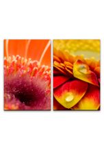 Sinus Art Leinwandbild »2 Bilder je 60x90cm Blüten Blumen Wassertropfen Sommer Dekorativ Fotokunst Makrofotografie«