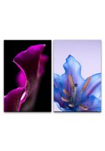 Sinus Art Leinwandbild »2 Bilder je 60x90cm Orchidee Blumen Blau Zerbrechlich Zart Dekorativ Makrofotografie«